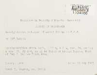 Brachythecium reflexum image