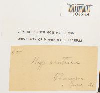 Image Associated With the Occurrence