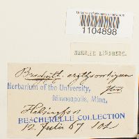 Image Associated With the Occurrence