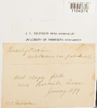 Image Associated With the Occurrence