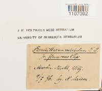 Image Associated With the Occurrence