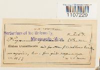 Image Associated With the Occurrence