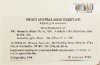 Breutelia affinis image