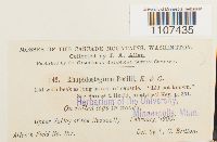 Image Associated With the Occurrence