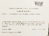 Bryhnia novae-angliae image