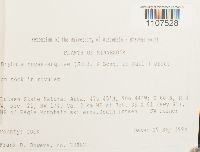 Bryhnia novae-angliae image