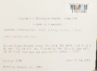 Bryhnia novae-angliae image