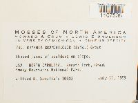 Bryhnia graminicolor image