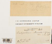 Image Associated With the Occurrence