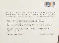 Bryhnia graminicolor image