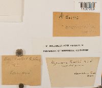 Image Associated With the Occurrence