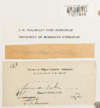 thumbnail image of current specimen
