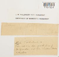 thumbnail image of current specimen