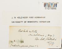 thumbnail image of current specimen