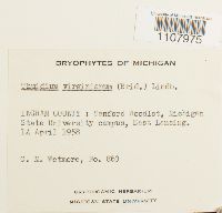 Image Associated With the Occurrence