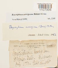 Image Associated With the Occurrence