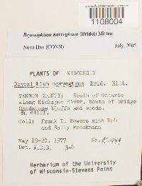 Bryoxiphium norvegicum image