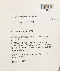 Image Associated With the Occurrence