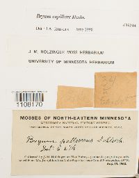 Image Associated With the Occurrence