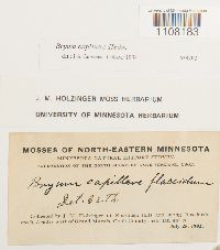 Image Associated With the Occurrence