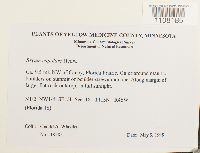 Image Associated With the Occurrence