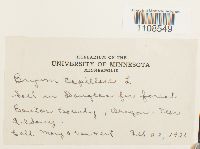 Image Associated With the Occurrence