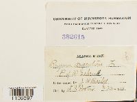 Image Associated With the Occurrence