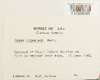 Image Associated With the Occurrence