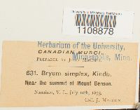 Roellia roellii image