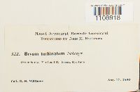 Image Associated With the Occurrence