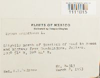 Image Associated With the Occurrence