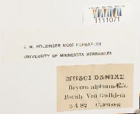 Image Associated With the Occurrence