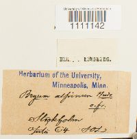 Image Associated With the Occurrence