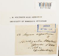 Image Associated With the Occurrence