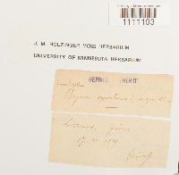 Image Associated With the Occurrence