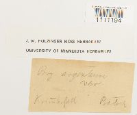 Image Associated With the Occurrence