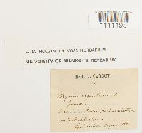 Image Associated With the Occurrence