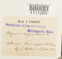 Image Associated With the Occurrence