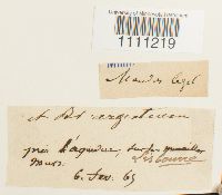 Image Associated With the Occurrence