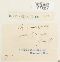 Image Associated With the Occurrence