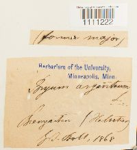 Image Associated With the Occurrence