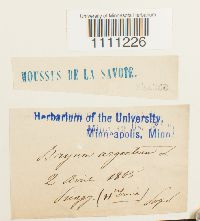 Image Associated With the Occurrence