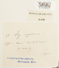 Image Associated With the Occurrence