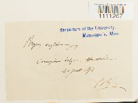 Bryum atrovirens image