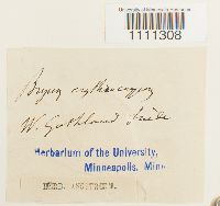 Image Associated With the Occurrence