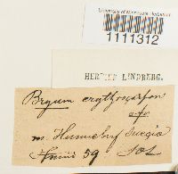 Image Associated With the Occurrence