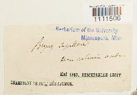 Image Associated With the Occurrence