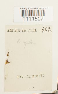 Image Associated With the Occurrence