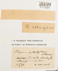 Image Associated With the Occurrence