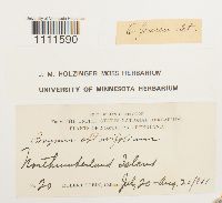 Image Associated With the Occurrence